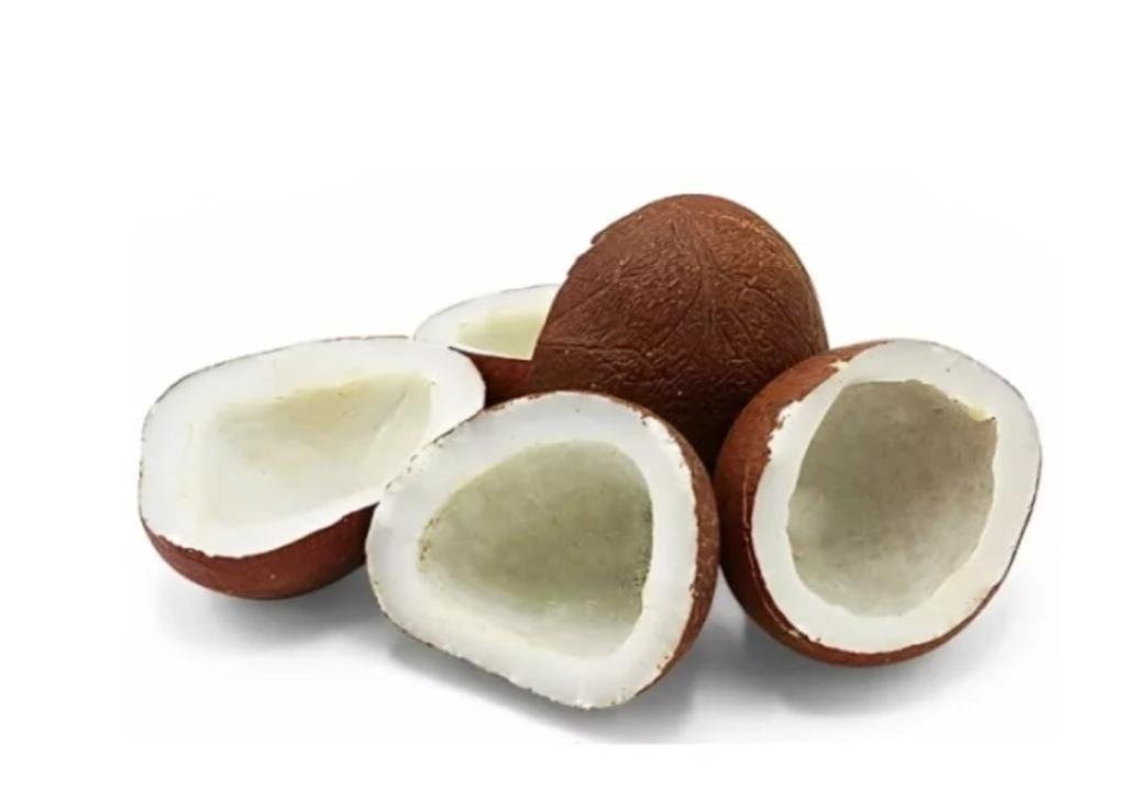 Coconut