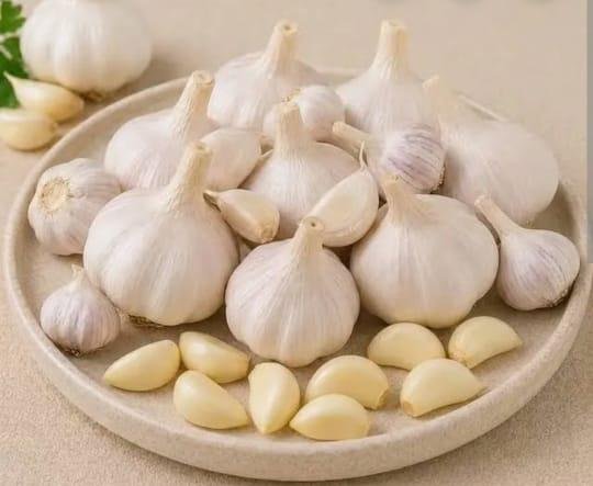Garlic